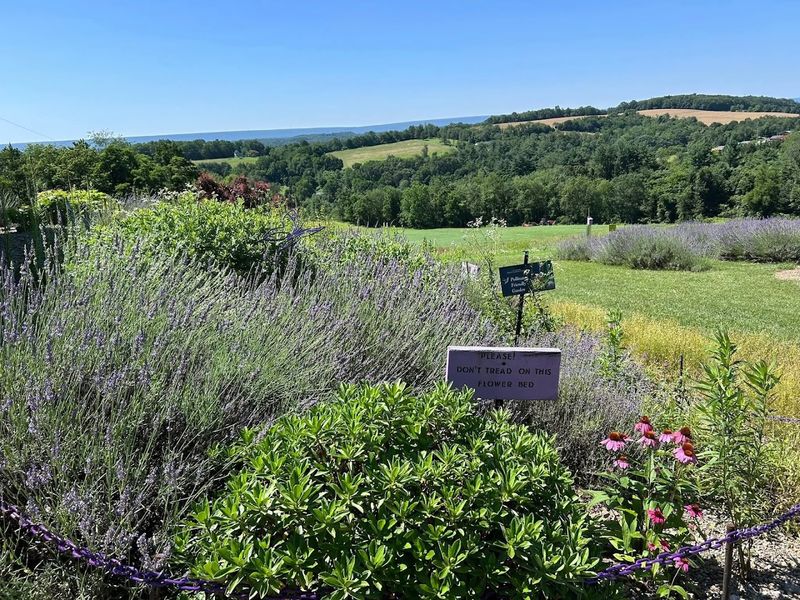 Breathtaking Mountain Views That Frame Every Visit