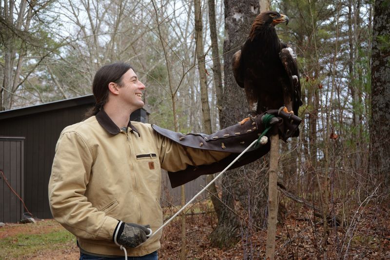 The Raptor Center That Brings Birds of Prey Up Close