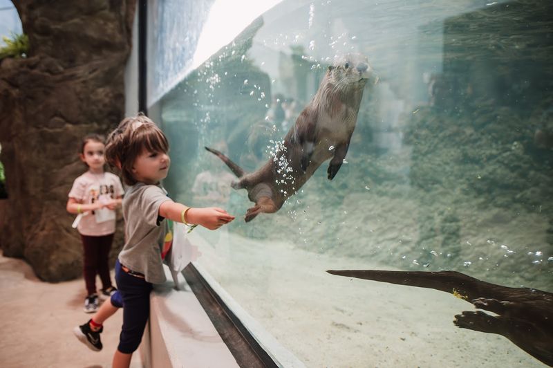 The Lehigh River Watershed Exhibit and River Otter Habitat
