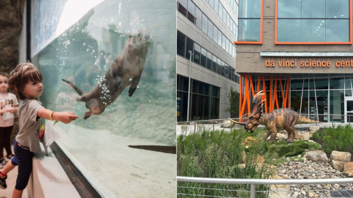 This Pennsylvania Science Center Makes It Easy to Spend Hours Exploring River Otters and Hands-On Exhibits
