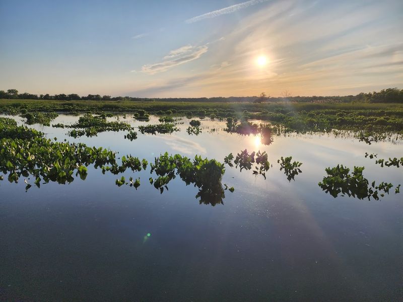 America's First Urban Wildlife Refuge