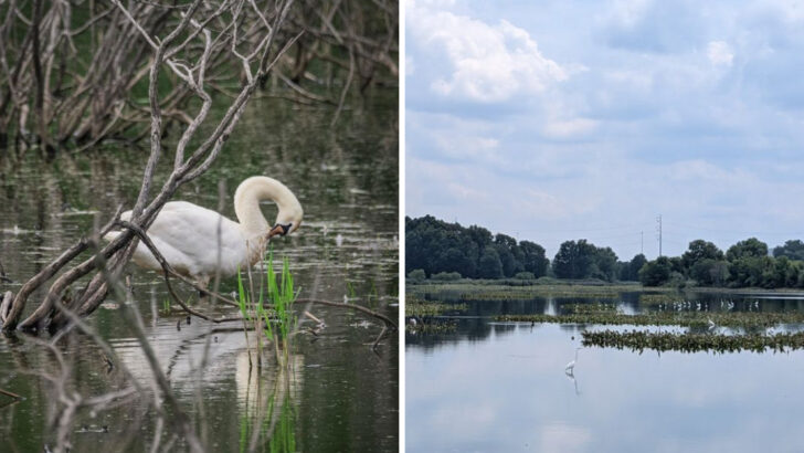 This Pennsylvania Wildlife Refuge Lets You Watch Birds, Wetlands, And City Skyline Views In One Easy Visit