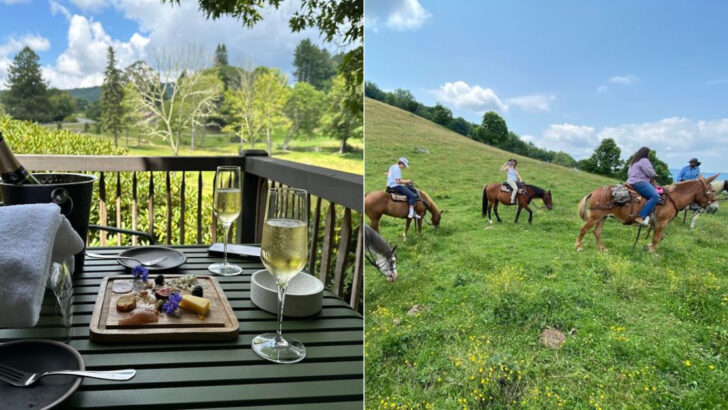 This Ranch In North Carolina Makes Horseback Riding And Mountain Views Feel Like A Storybook Escape