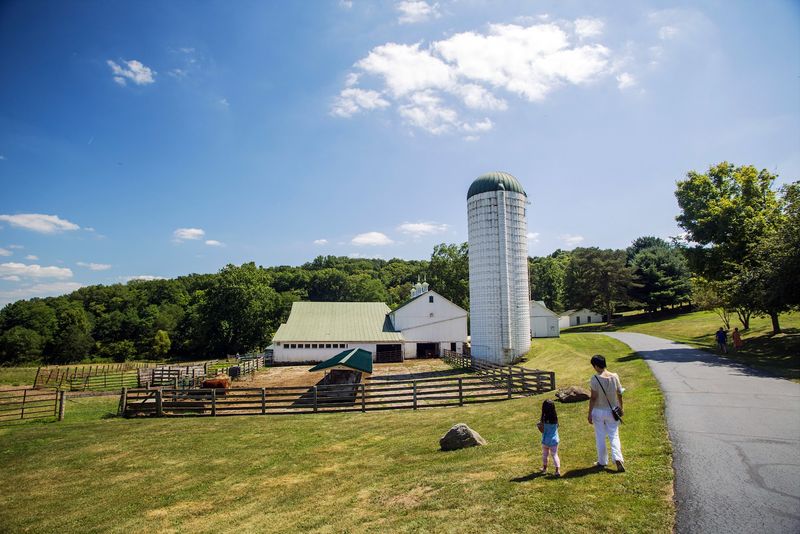 A Hidden Ohio Farm With Big-City Dreams