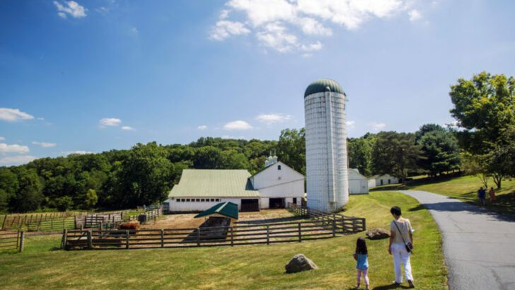 This Working Farm in Ohio Once Drew Hollywood Stars And Still Makes A Beautiful Countryside Day Trip