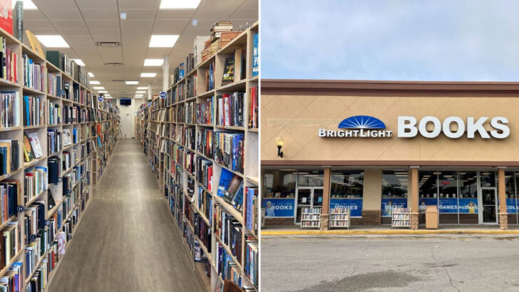 This cozy Florida bookstore feels like a library, a living room, and a treasure hunt all at once