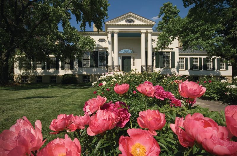 The Gardens, Cafe, and Overall Visitor Experience