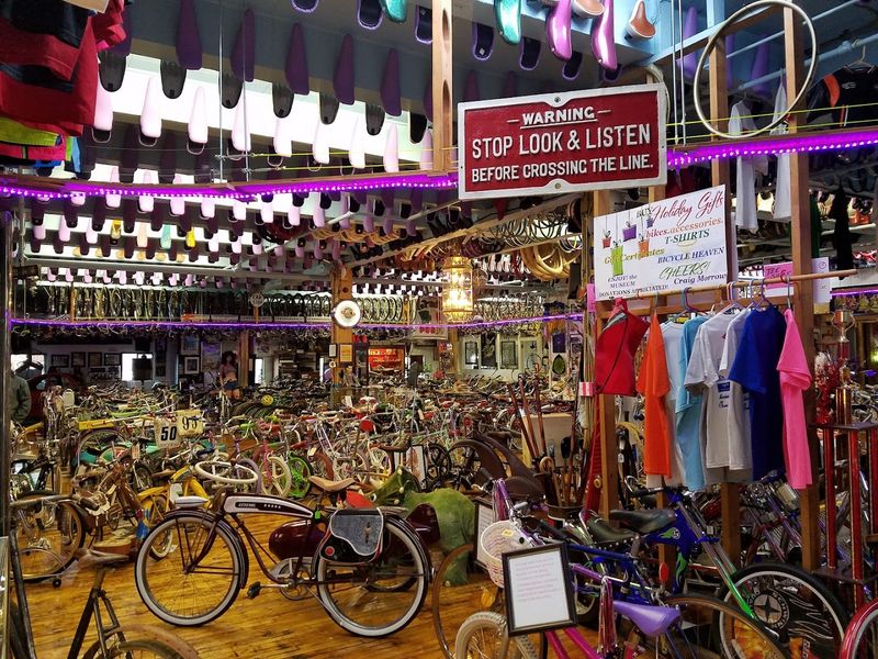 Admission Pricing and What Your Visit Costs