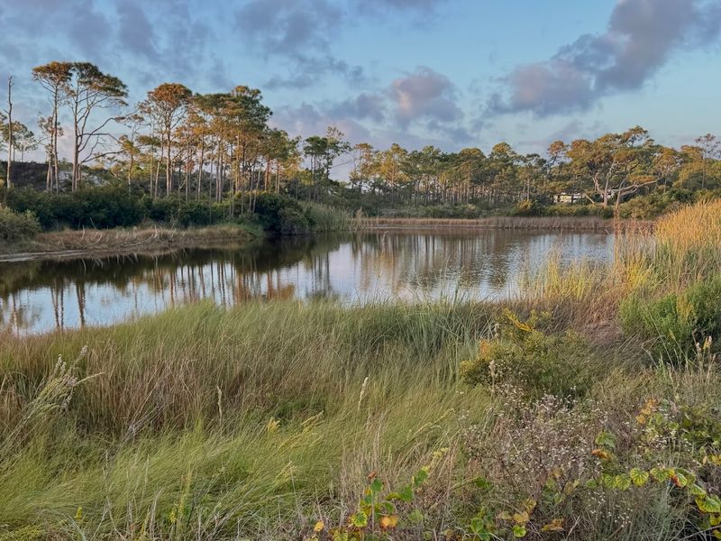 St. George Island State Park - Backcountry Sections (Franklin County)