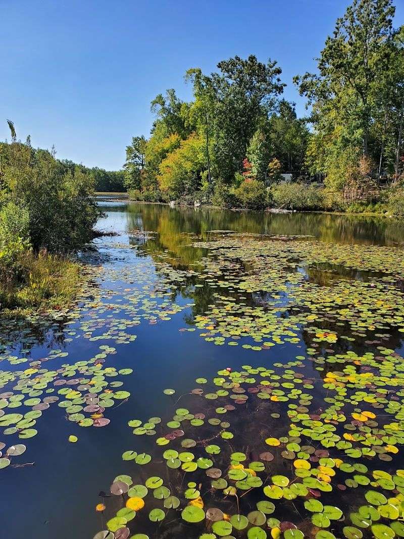 Make The Most Of One Day