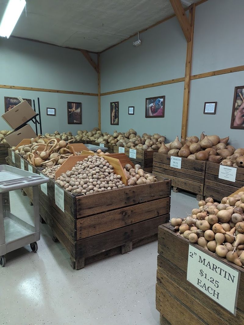 Go Early for the Best Experience