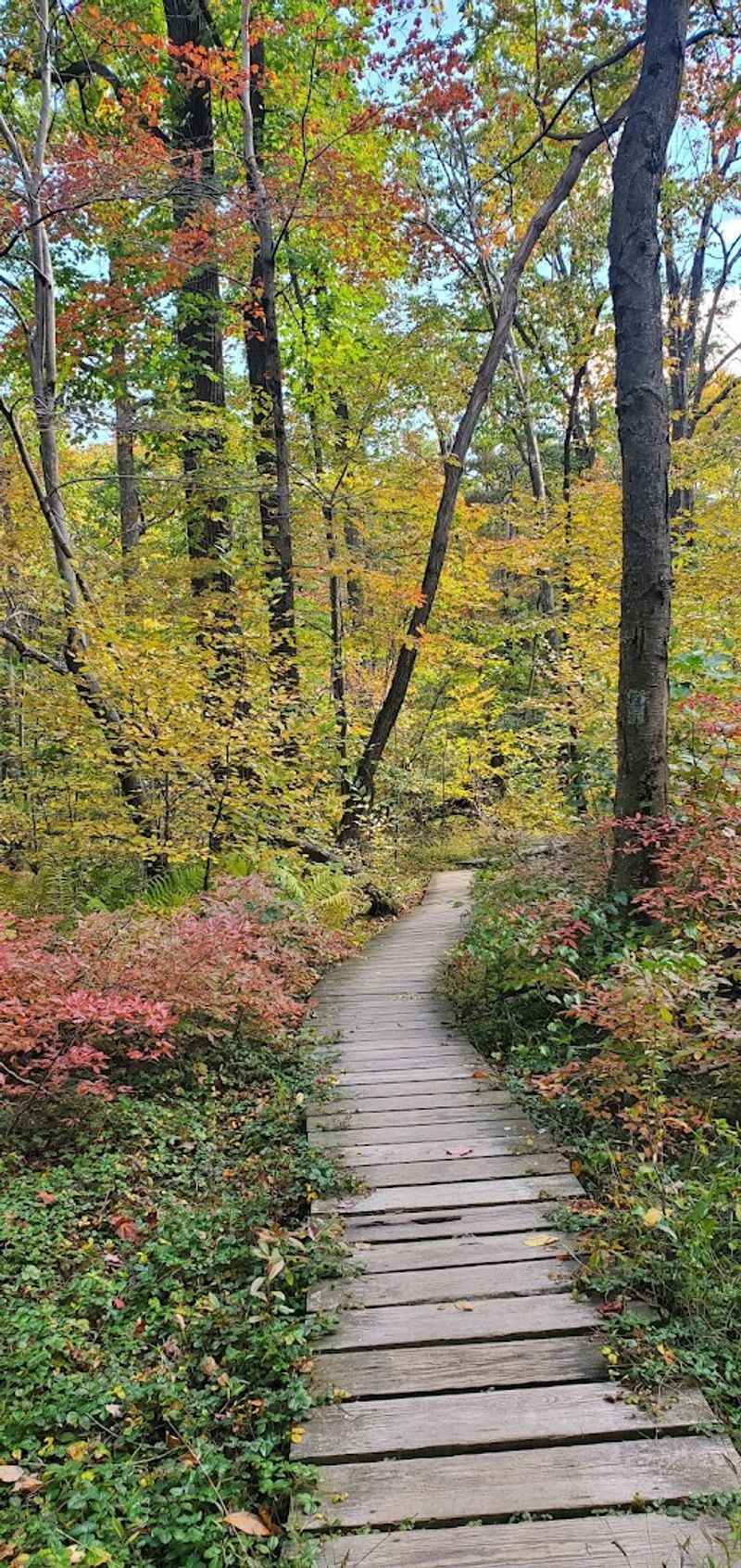 Footwear and Traction That Work Here