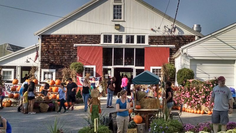 Why This Farm Detour Is Worth Building Into A Trip