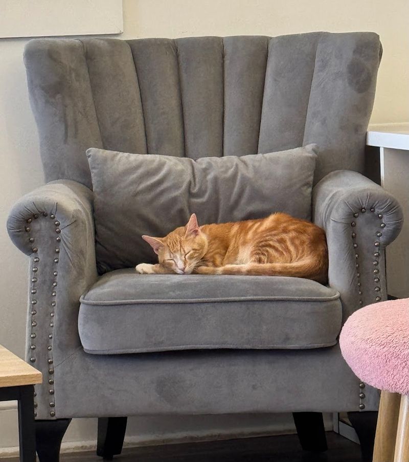 Who This Experience Works Best For