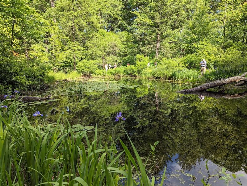 Garden in the Woods