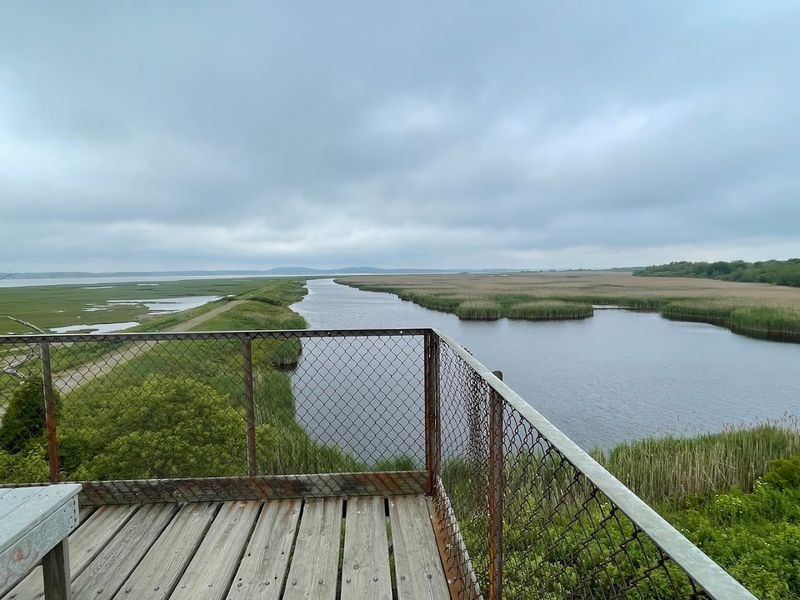 Observation Platforms and Viewing Blinds