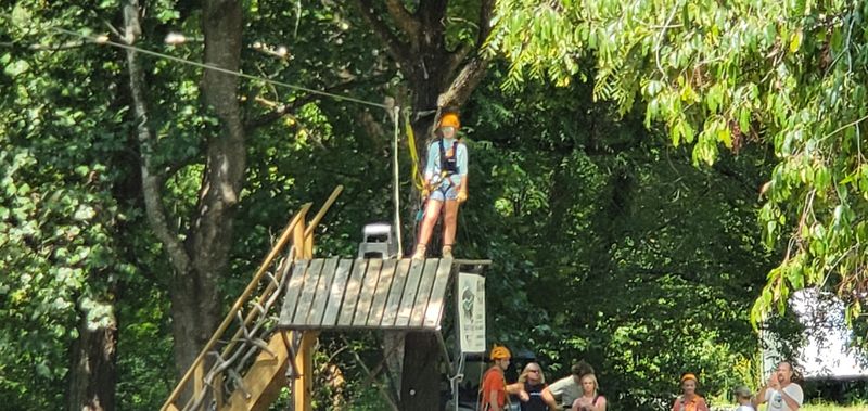 Soaring Through Treetops On The Zip Line Course