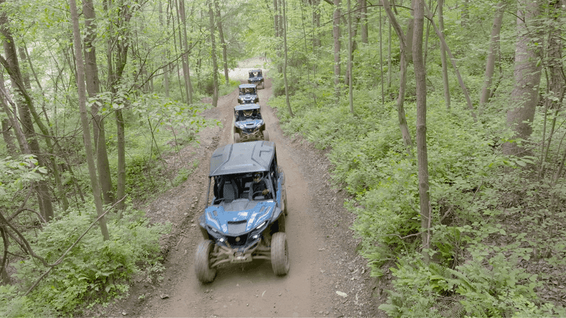 Guided Tours That Actually Teach You Something