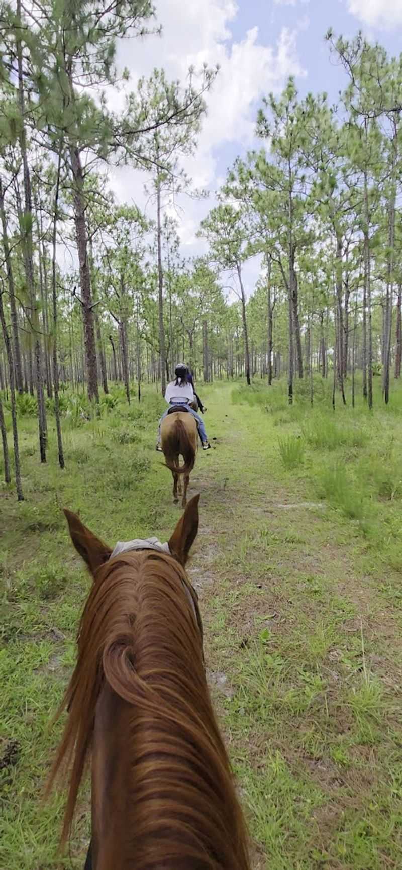 Rides For Beginners And Experienced Riders