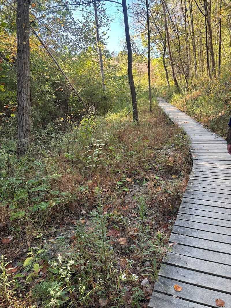 Blue Hen Falls Trail &ndash; Cuyahoga Valley National Park