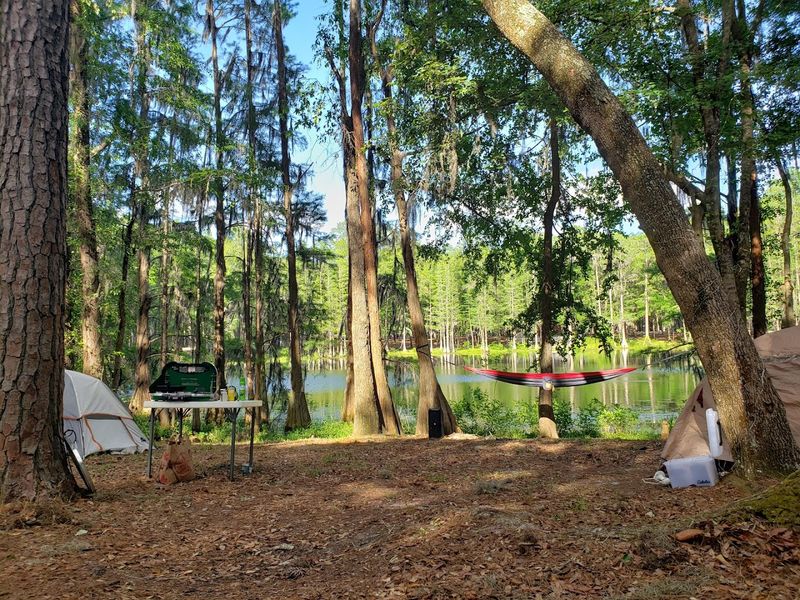 Suwannee River Beach and Water Access