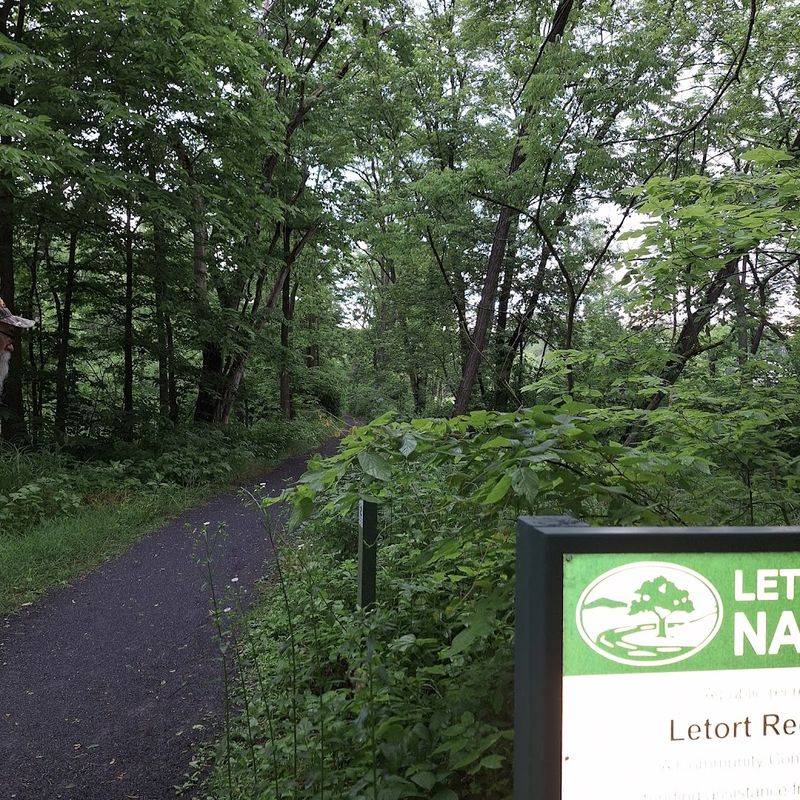 LeTort Spring Run Nature Trail
