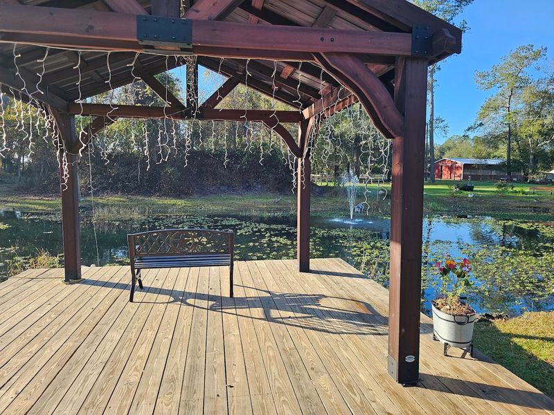 The Serene Pond with Fish and Turtles