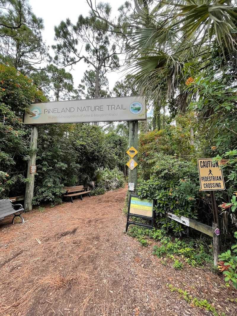 What a Visit Actually Looks, Feels, and Sounds Like