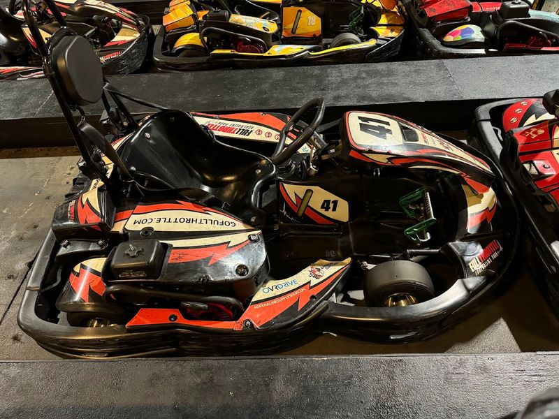 The Pro Karts: Gas-Powered Machines That Actually Move