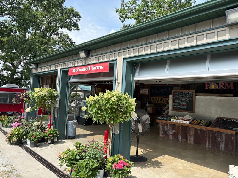 McConnell Farms Ice Cream (Hendersonville)