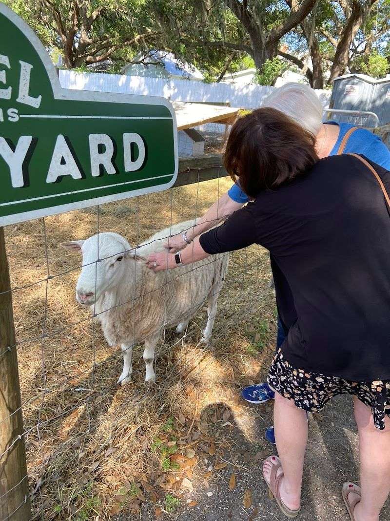 Friendly Farm Animals