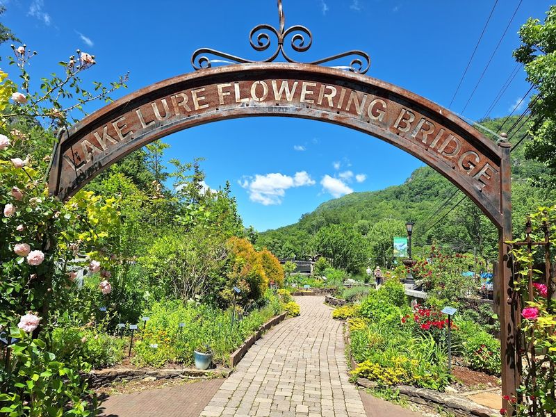 Lake Lure Flowering Bridge (Lake Lure)