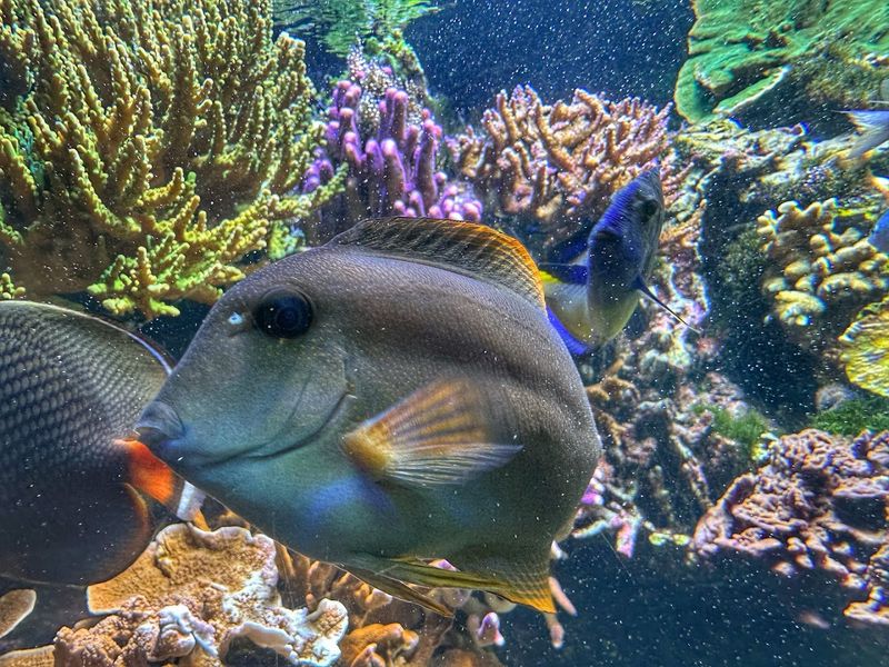 NC Aquarium at Fort Fisher