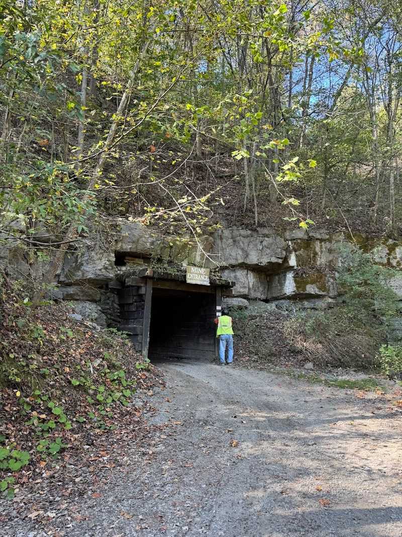 Trail System Highlights Above Ground