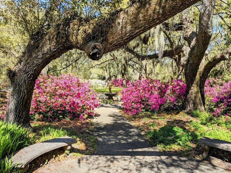 Rich Ecosystem and Wildlife Habitat