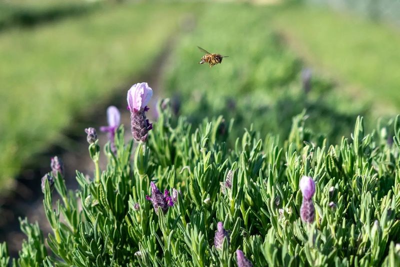 A Refreshing Alternative To Beach Crowds