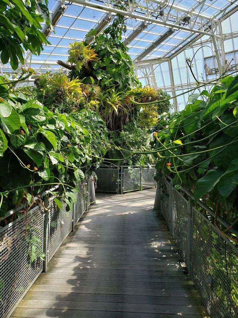 Planning Smart: Hours, Tickets, Seasons, And Comfort