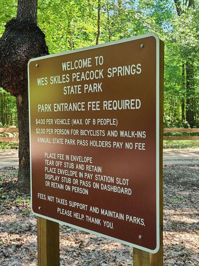 Why The Park Lingers In Your Mind