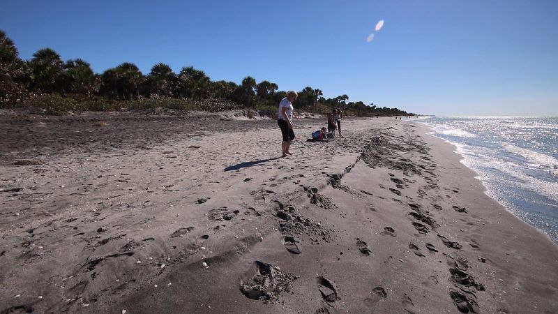 Caspersen Beach - Venice