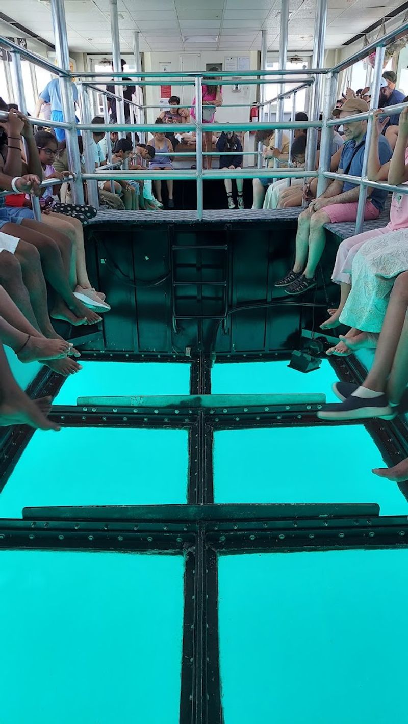 Glass-Bottom Boat Tours for Non-Divers