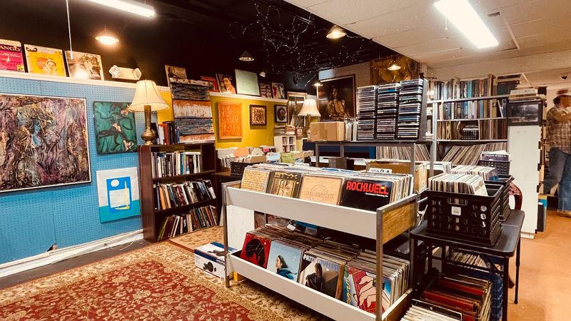 The Vinyl Record and Book Sections