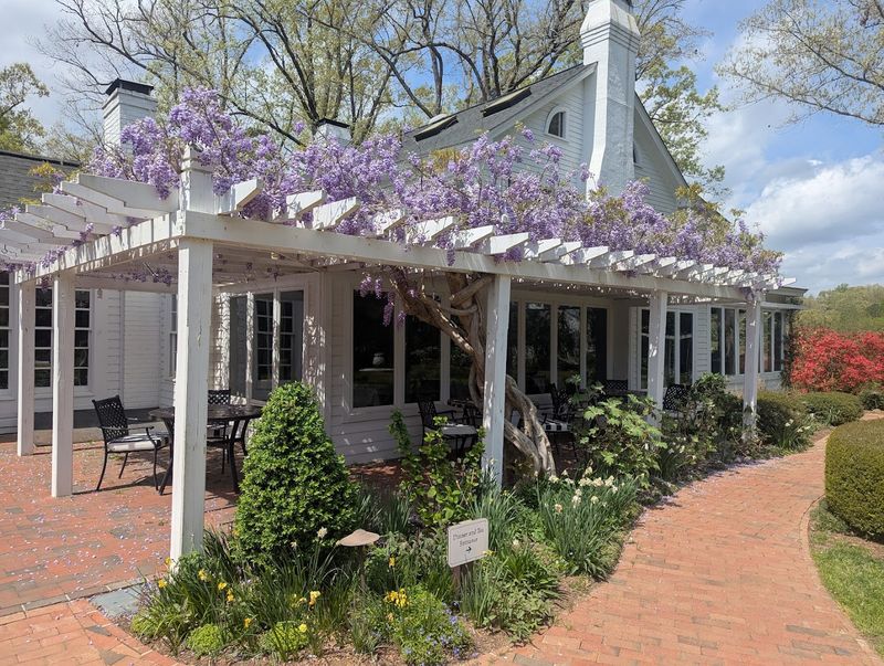 Architectural and Setting Charm