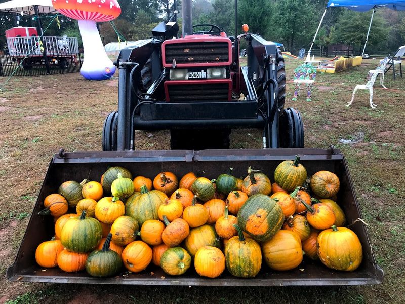 Know Who Will Love This Place Most