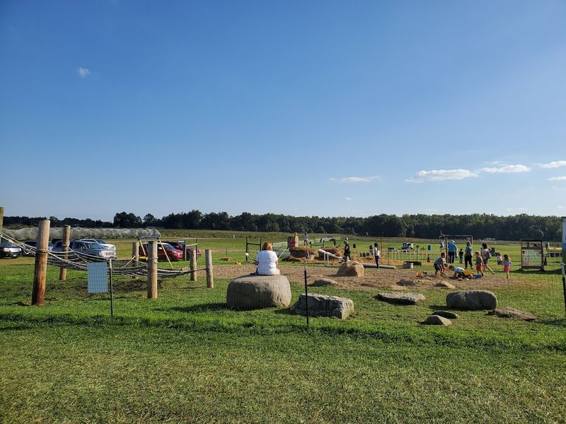 Pick Your Own Strawberries at Lynd Fruit Farm (Pataskala, Ohio)