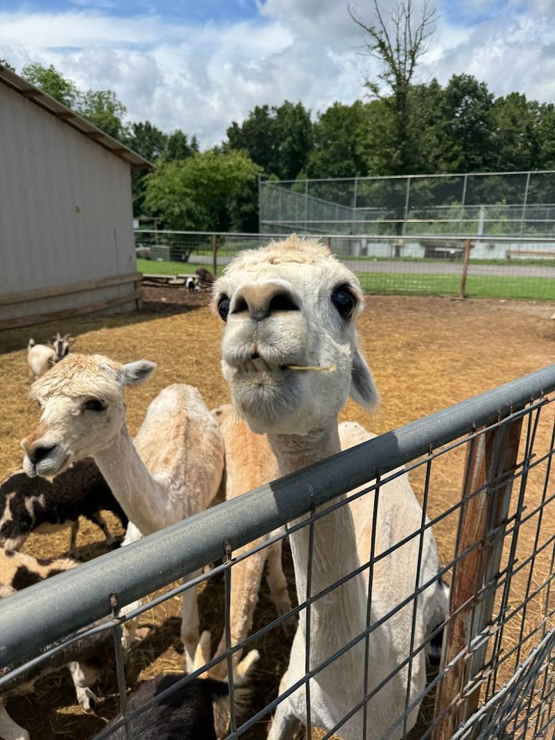 Ethical Visiting: Caring Choices You Can Make