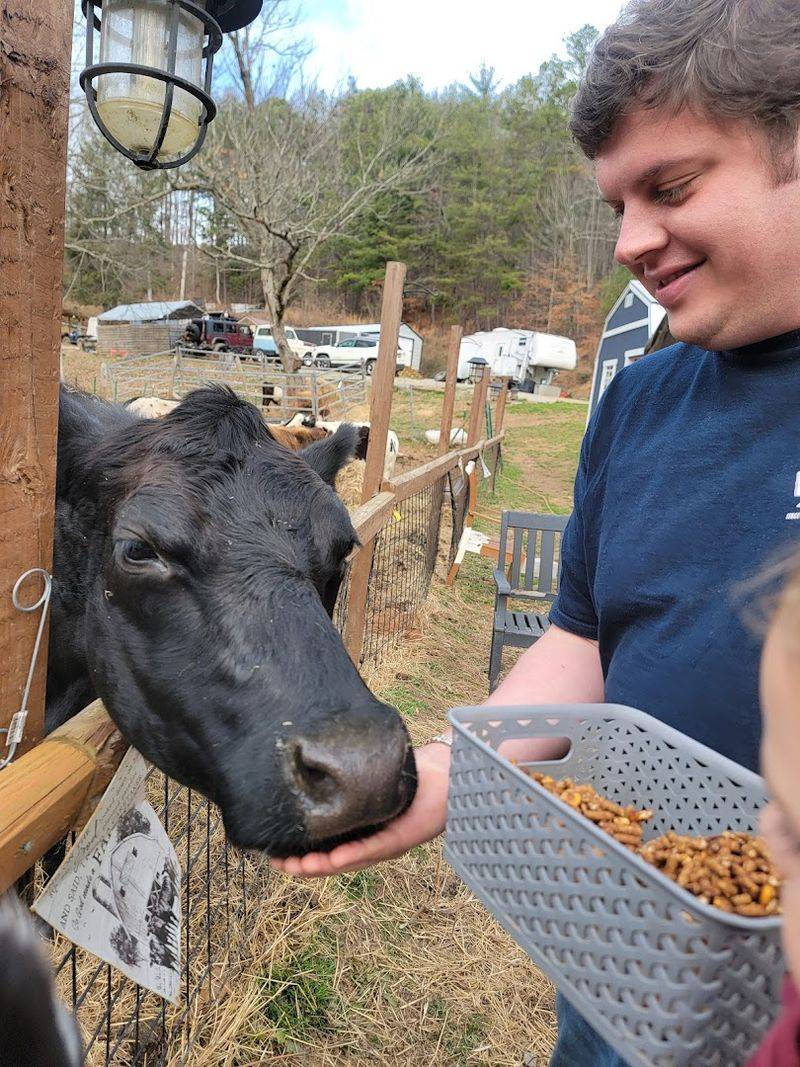 Visitor Info and Tips