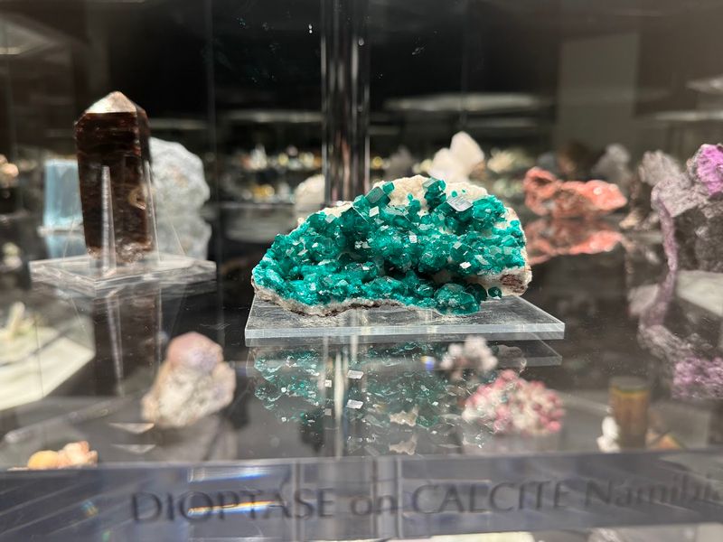 Visitor Info and Planning Tips