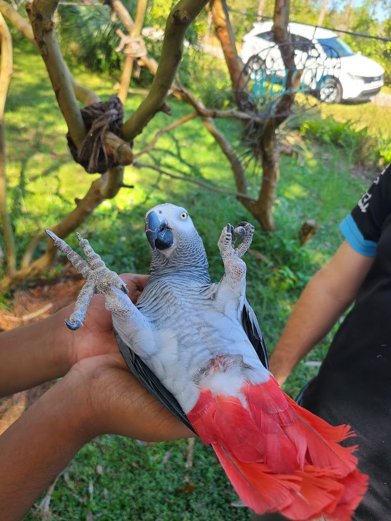 Visitor Info and What to Know Before You Go