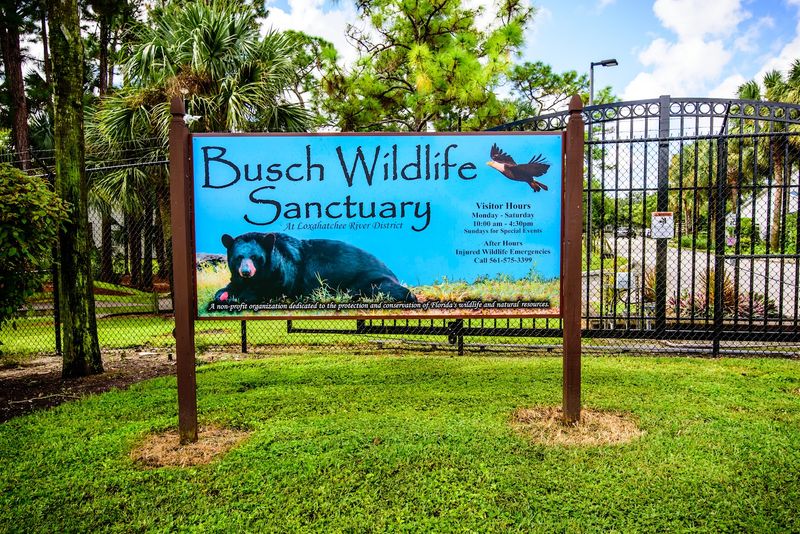 Practical Tips Before You Go