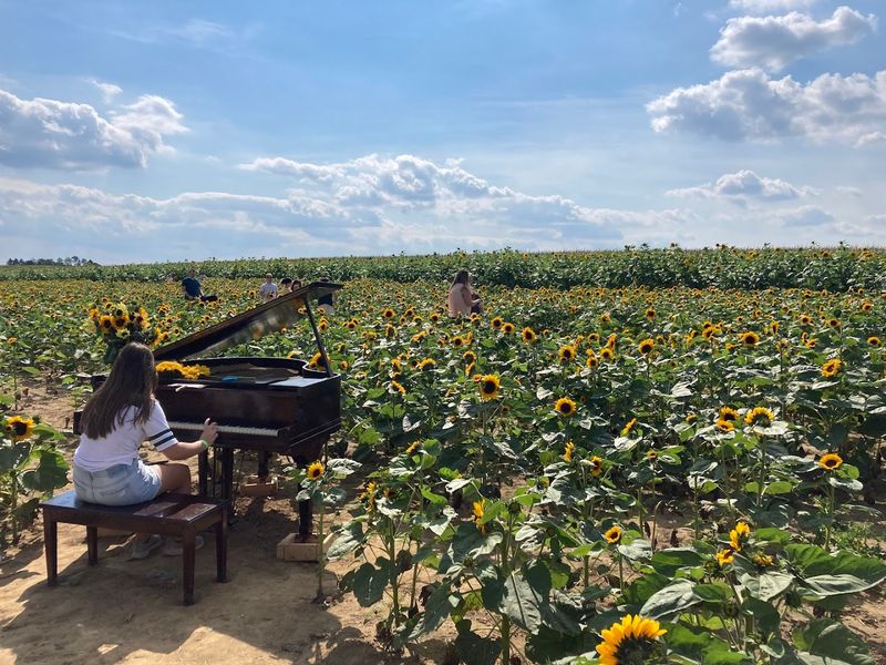 Go on a Farm Adventure at Ramseyer Farms (Wooster, Ohio)